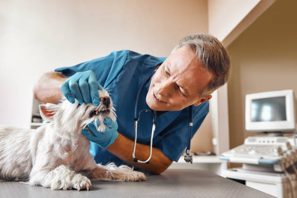  Crockett, TX Emergency Dentist Pros